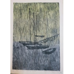 Ploaie de vara