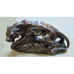 Jaguar- O Becherini